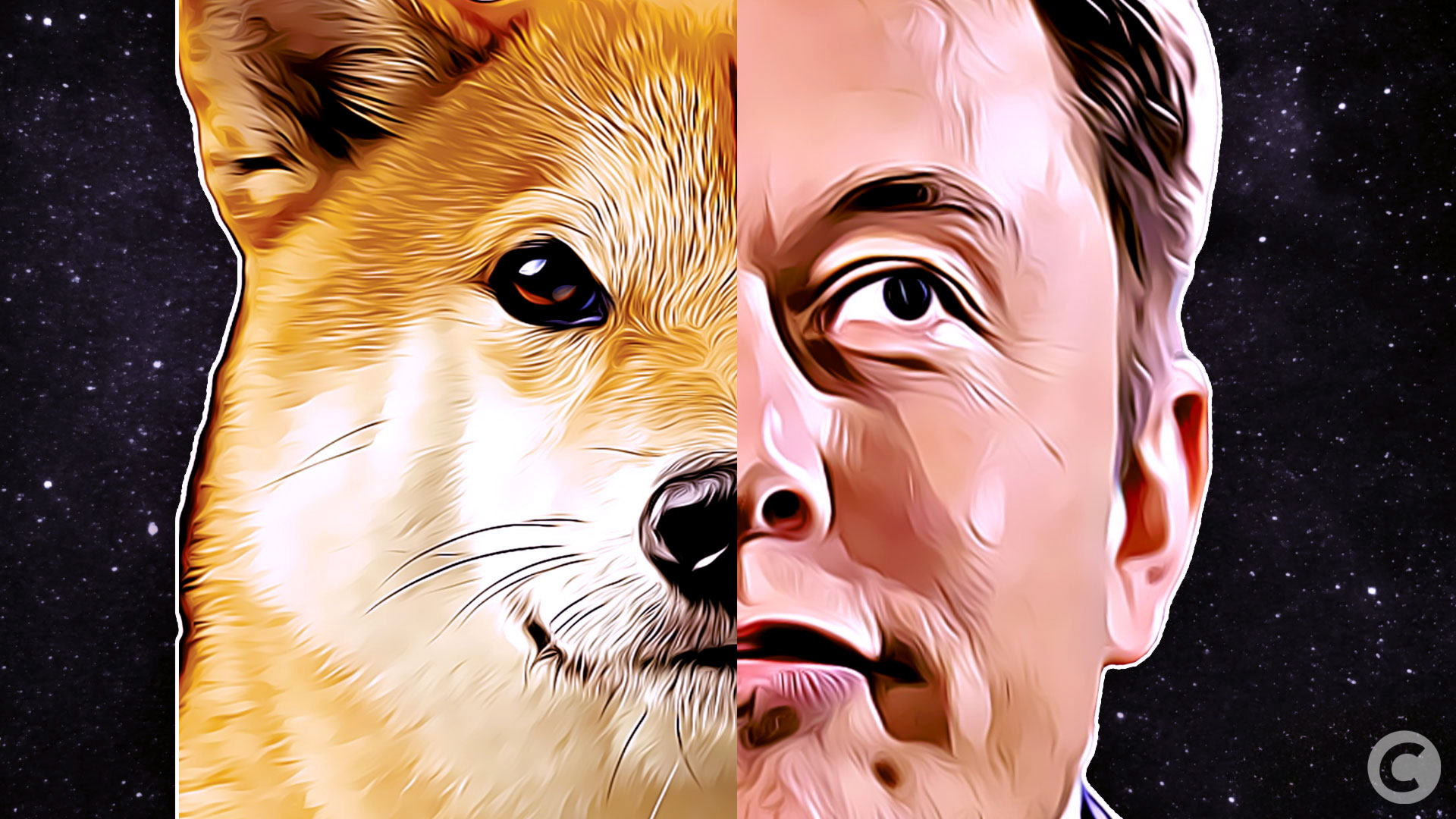 DOGE : la poursuite contre Elon Musk concernant Dogecoin est définitivement abandonnée