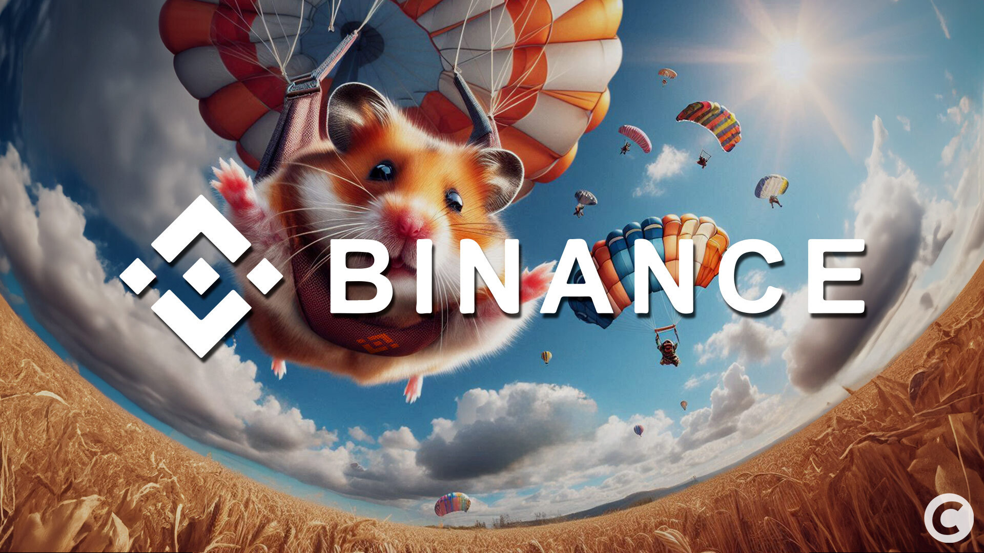 Binance : Hamster Kombat à l’assaut du launchpool